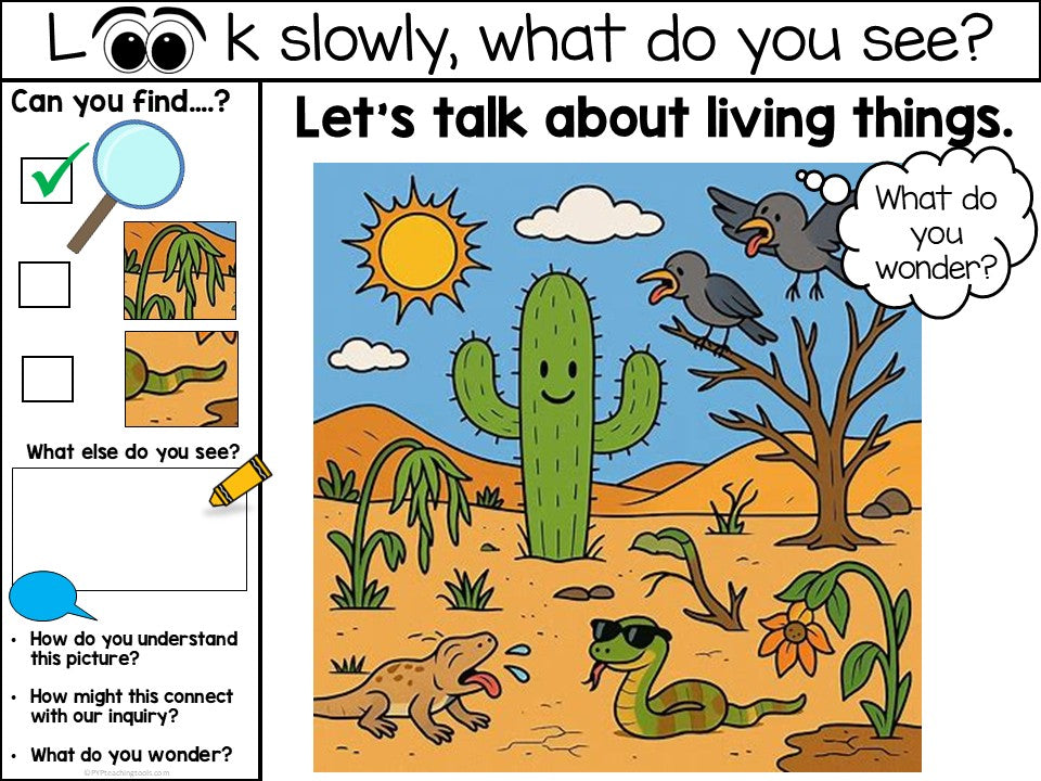 Early Years Provocation Concept Story Mats: How the World Works Grades K- 3