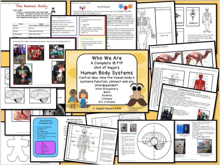 IB PYP SCIENCE UNIT OF INQUIRY HUMAN BODY SYSTEMS