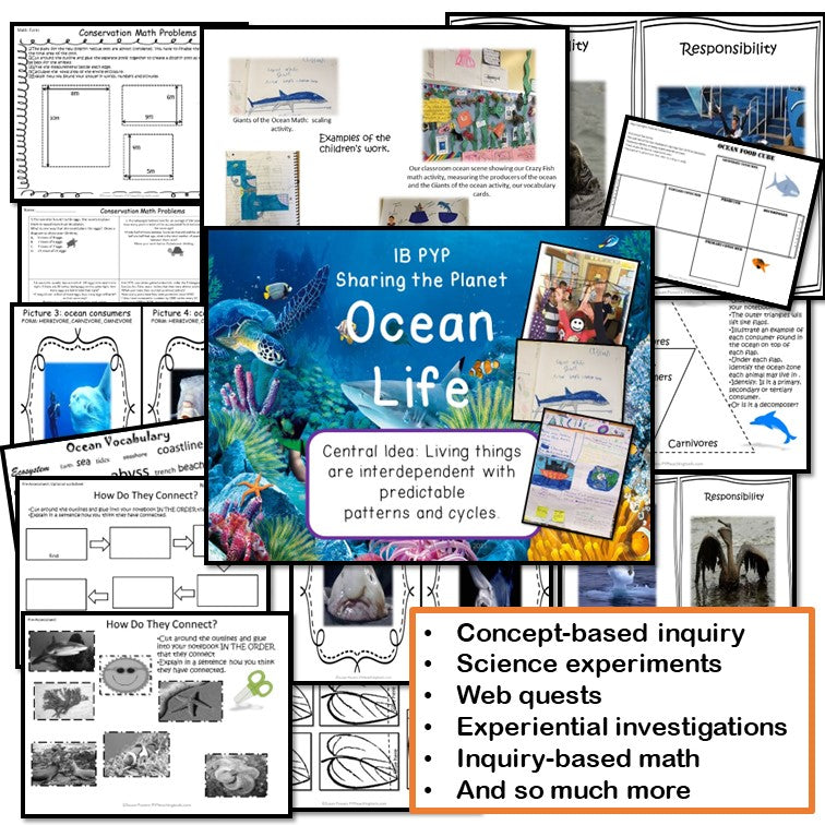 IB PYP Unit of Inquiry into Ocean Habitats and Interdependence