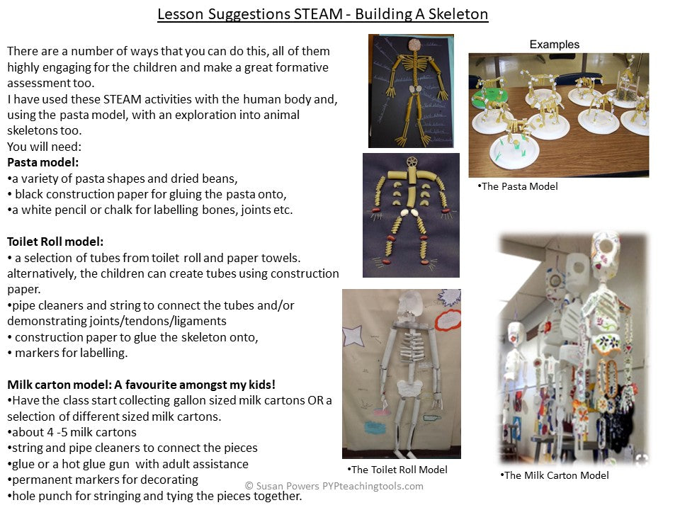 IB PYP SCIENCE UNIT OF INQUIRY HUMAN BODY SYSTEMS